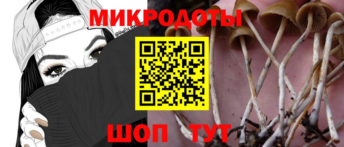 Галлюциногенные грибы Psilocybe  Вход с VPN  Бахчисарай  Псилоцибиновые грибы прущие грибы 