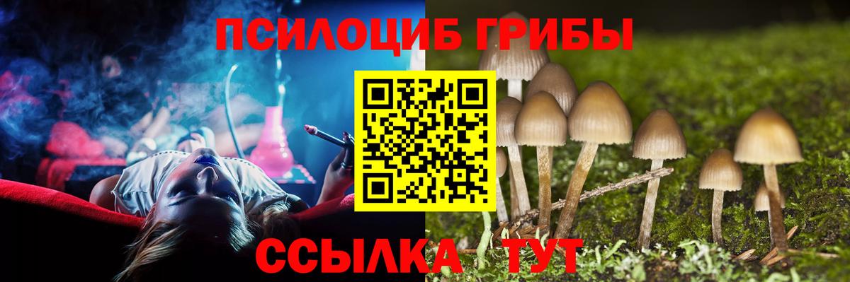 Псилоцибиновые грибы GOLDEN TEACHER Бахчисарай